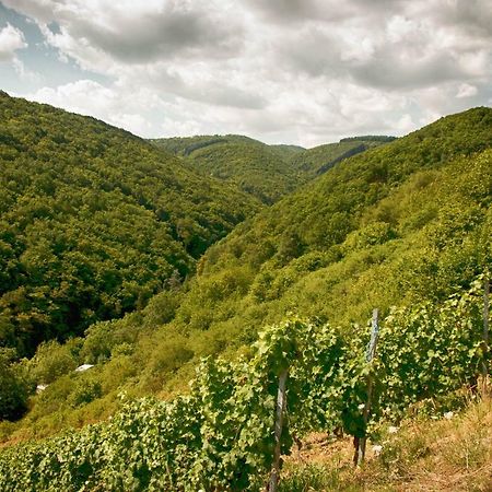 Ferienwohnungen Lithos Oberwesel Esterno foto