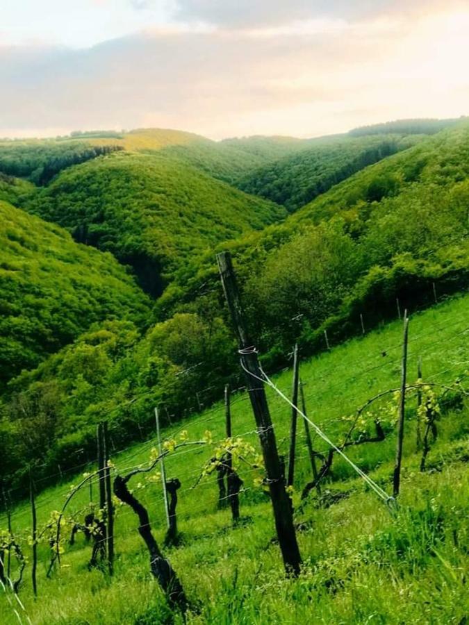 Ferienwohnungen Lithos Oberwesel Esterno foto